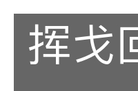 挥戈回日的意思