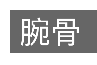 腕骨的意思