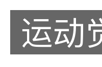 运动觉的意思