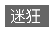 迷狂的意思