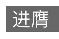 进膺的意思