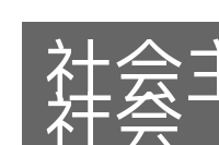 社会主义社会的意思