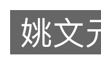 姚文元的意思
