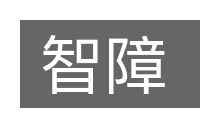 智障的意思