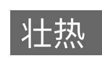 壮热的意思