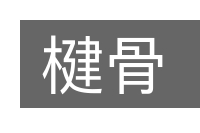 楗骨的意思
