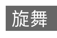 旋舞的意思