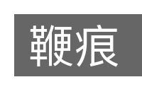 鞭痕的意思