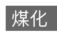 煤化的意思