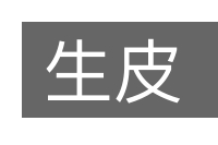 生皮的意思