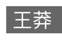王莽的意思