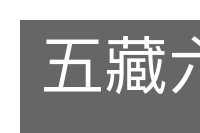 五藏六府的意思