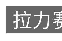 拉力赛的意思
