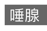 唾腺的意思