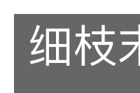 细枝末节的意思