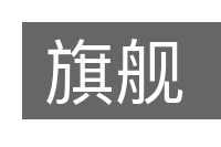 旗舰的意思