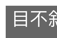 目不斜视的意思