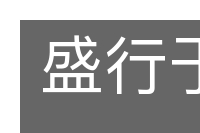 盛行于世的意思