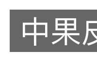 中果皮的意思