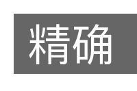 精确的意思
