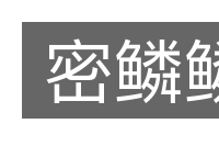 密鳞鳞的意思