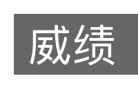 威绩的意思