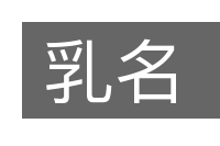 乳名的意思