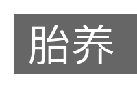 胎养的意思