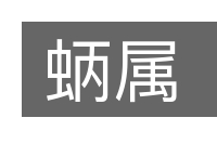 蛃属的意思