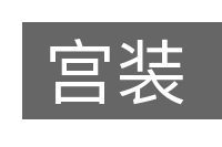 宫装的意思