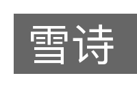 雪诗的意思