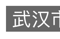 武汉市的意思