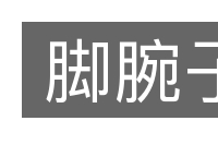 脚腕子的意思