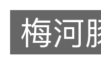 梅河豚的意思