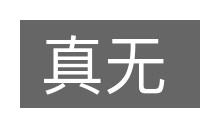 真无的意思