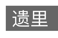遗里的意思
