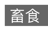 畜食的意思