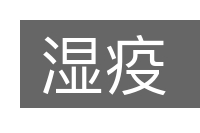 湿疫的意思