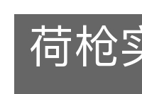 荷枪实弹的意思