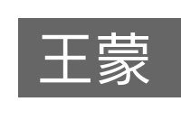 王蒙的意思
