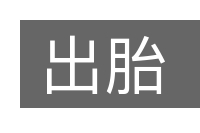 出胎的意思