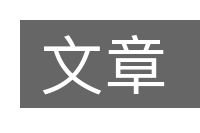 文章的意思