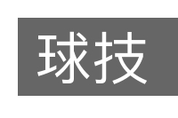 球技的意思
