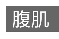 腹肌的意思