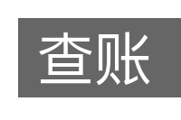 查账的意思