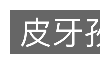 皮牙孜的意思