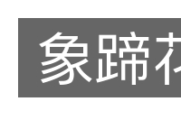 象蹄花的意思