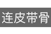 连皮带骨