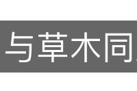 与草木同腐