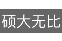 硕大无比